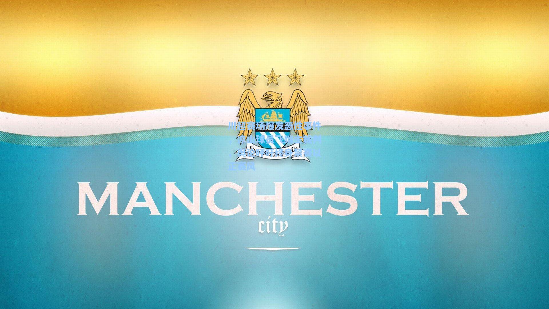 川超赛场爆发恶性事件，凉山球员飞踹主裁判，舆论呼吁终身禁赛以正赛风